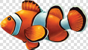 Clown Fish Png Transparent Background   Pool Tile Mosaic Fish  Png Download