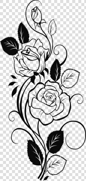 Transparent Rose Clipart Black And White   Rose With Vines Drawing  HD Png Download