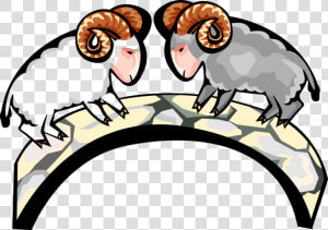 Vector Illustration Of Mountain Goat Rams Butt Heads   Proyecto Del Hombre Borrego  HD Png Download