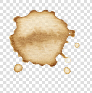 Free To Use Coffee Stains  HD Png Download