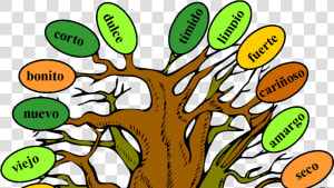 Music And Spanish Fun Tree Of Adjectives   Model Of Adjective Tree  HD Png Download