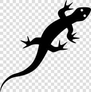 Lizard Reptile Green Iguana Vector Graphics Illustration   Lizard Icon  HD Png Download