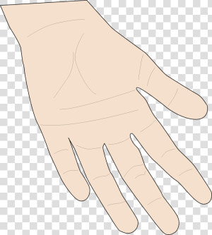 Transparent Skin Clipart   Hand Skin Clipart  HD Png Download