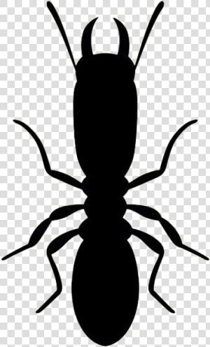 Termite Silhouette  HD Png Download