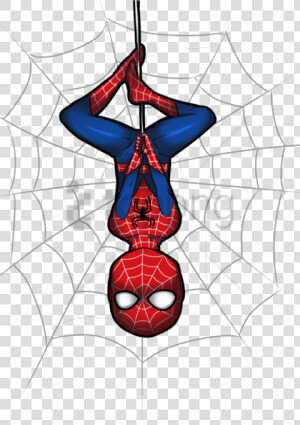 Free Png Download Spiderman Spider Web Png Images Background   Clipart Spiderman  Transparent Png