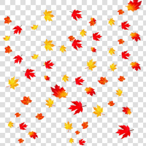 Autumn Leaves Transparent Background Clipart   Png   Fall Leaves Transparent Background  Png Download