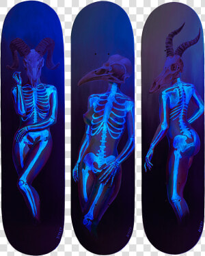 Death Of Venus Under Blacklight   Png Download   Skateboard Deck  Transparent Png