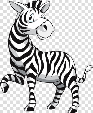 Desenho Zebra Png   Zebra Cartoon  Transparent Png