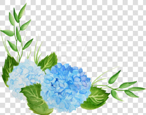 15 Hydrangea Transparent Watercolor For Free Download   Watercolor Blue Hydrangea Clipart  HD Png Download