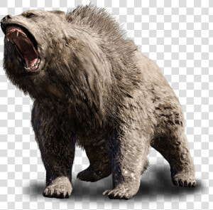 Animals  Antagonist  Great Scar Bear Steemit  HD Png Download