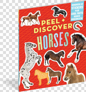 Cover   Peel   Discover  Horses  HD Png Download