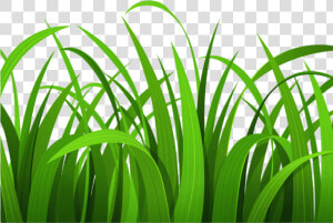 Best Grass Clipart   Grass Clipart  HD Png Download