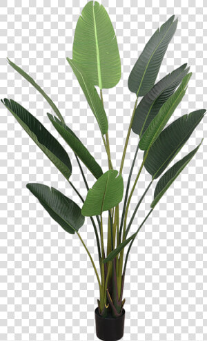 Simulation Traveler Banana Plant Landing Bird Of Paradise   Plants  HD Png Download