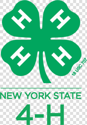 Nys 4h Logo Vert   4 H Clover  HD Png Download