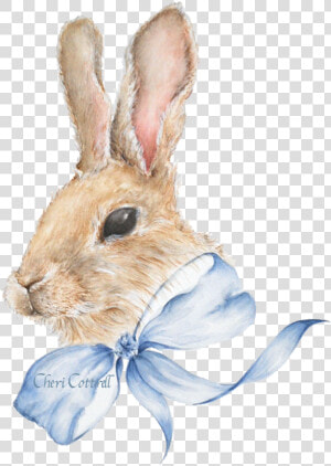 Bunny Rabbit Watercolour Png   Png Download   Bunny Transparent Background Watercolour  Png Download