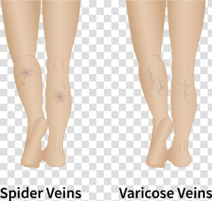 Transparent Veins Texture Png   Tights  Png Download