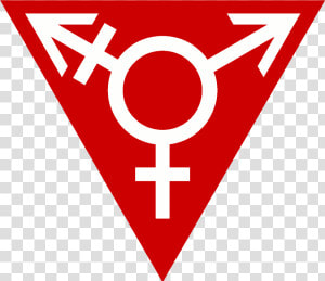 Red Transgender Triangle wide   Trans Feminism  HD Png Download