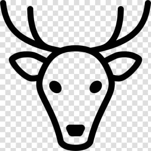 The Skull Profile Of A Deer  Facing Foward Clipart   Animal Icons Deer  HD Png Download