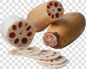 Lotus Root Png Image   Lotus Root Png  Transparent Png