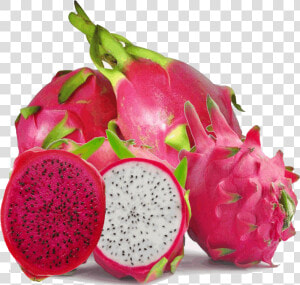 Hd Dragon Fruit Pictures   Dragon Fruit Images Hd  HD Png Download