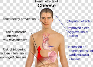 Lactose Intolerance Effects  HD Png Download