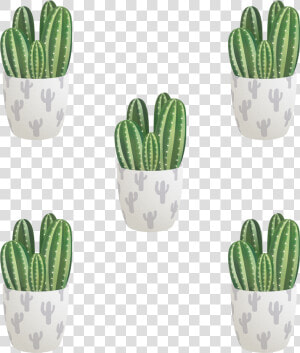 San Pedro Cactus  HD Png Download