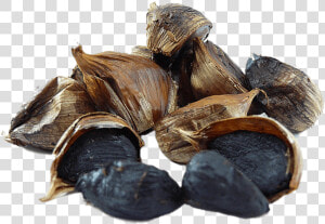 Ajo Negro   Black Garlic Png  Transparent Png