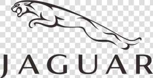 Transparent Jaguar Clipart Black And White   Jaguar Logo Black And White  HD Png Download