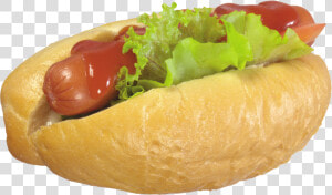 Hot Dog Png Image   Bánh Mì Kep Xuc Xich  Transparent Png