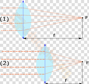 Lente Cóncava   Lentes Convergentes Graficas  HD Png Download