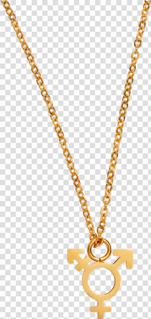 Gold Necklace With Transgender Symbol Charm   Chain  HD Png Download