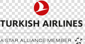 Turkish Airlines Logo 2019  HD Png Download