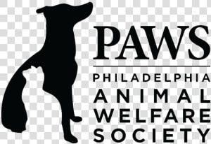 Philadelphia Animal Welfare Society  HD Png Download