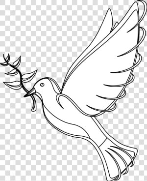 White Dove Clipart   Traditional Communication And Modern Communication  HD Png Download