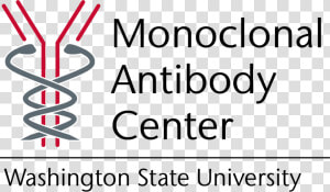 Mab Badge   Wsu Monoclonal Antibody Center Logo  HD Png Download