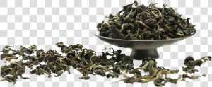 Nilgiri Oolong Tea Leaf Png Hd Image   Scrap  Transparent Png