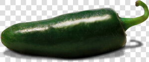 Zucchini  HD Png Download