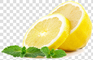 Lemon lime   Sliced Lemon Transparent Background  HD Png Download