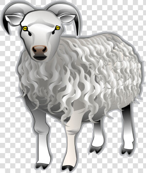 Sheep Ram Animal Free Photo   Clip Art Kambing  HD Png Download