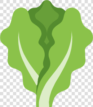 Lettuce Clipart Outline Lettuce Icon Png   Lettuce Icon  Transparent Png