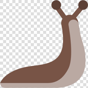 Slug Png   Slug Clipart Transparent Background  Png Download