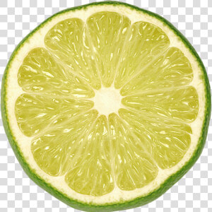 Sliced Lime Png Picture   Lime Png  Transparent Png