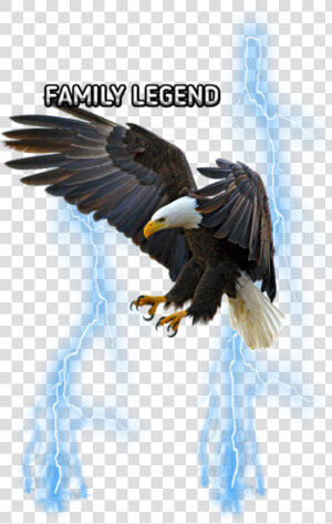  freetoedit eemput  png  eagle  lightning  blue   Flying Eagle Drawing Colored  Transparent Png