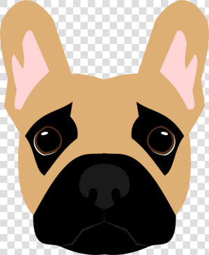 Paw Licking And Chewing In The French Bulldog   French Bulldog  HD Png Download