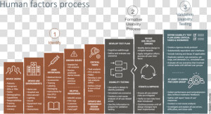 Human Factors Process Usability Procedure   Brochure  HD Png Download