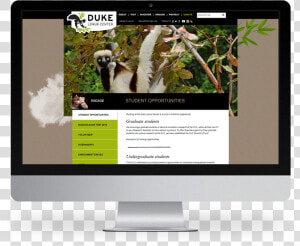 Kompleks Web Design Duke University Lemur Center   Computer Monitor  HD Png Download