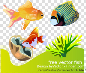 Free Vector Fish   Problemas Matematicas Primero Primaria  HD Png Download