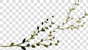 Twig  HD Png Download