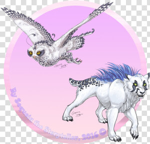 Snowy Dudes   Snowy Owl  HD Png Download