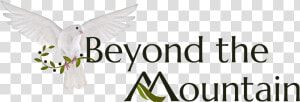 Beyond The Mountain   Pigeons And Doves  HD Png Download